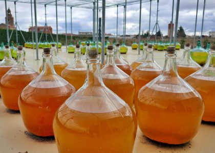 Damajuanas de cristal con vino criándose de forma oxidativa en una bodega de la D.O. Rueda.