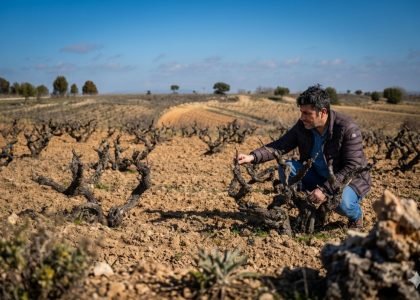 Viñedos de altura de Marta Maté en Ribera del Duero