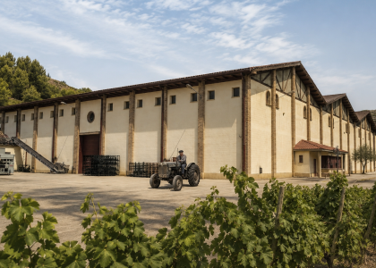 Vista exterior de la Cooperativa Vitivinícola de San Martín de Unx, rodeada de viñedos en la D.O. Navarra.