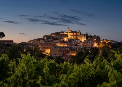 Vista de San Martín de Unx al atardecer, rodeado de viñedos de montaña en la D.O. Navarra.